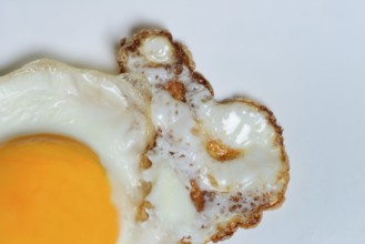 Fried egg, fried egg