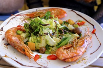 Salad with scampi, food, Cadaqués, Costa Brava, Catalonia, Spain, Europe
