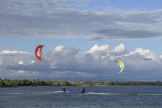 Kite surfers on Grado Pineta beach, Grado island, Friuli Venezia Giulia region, Italy, Europe