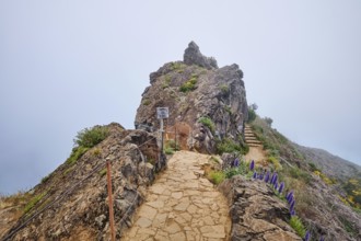 The hiking trail in mountains between Pico de Arieiro and Pico Ruivo in clouds with purple Pride of