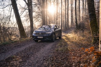 Vehicle on a forest path, illuminated by sunlight through the trees, car sharing, electric car,