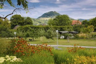 Pomologie Reutlingen, garden, public park, meadow, lawn, flowers, trees, lamps, footpath, behind