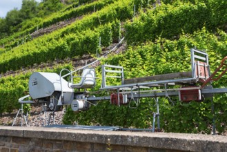 Mechanical vineyard machine in the middle of green vineyard slopes, monorack railway for overcoming