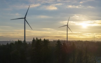 Wind turbines against a golden sky at the edge of a forest at sunrise, Rems Valley,