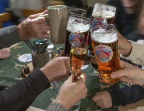 Friends toasting each other with beer in a pub, Franconia, Bavaria, Germany, Europe