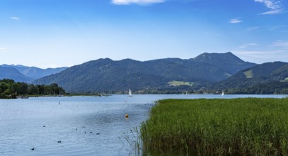 Nature and landscape around Lake Tegernsee, Bavaria, Germany, Europe