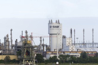 BASF, Lugwigshafen am Rhein, industrial area, Mannheim, Baden-Württemberg, Germany, Europe
