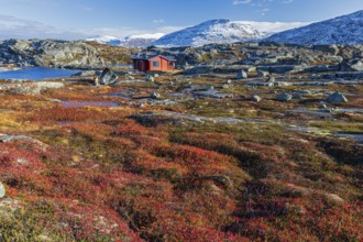 Holiday cabin in Fjell, autumn colours, snowy mountains, autumn, Bjornfjell, Narvik, Norway, Europe