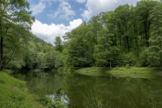 Hilschweiher, Edenkobener Tal, Palatinate Forest, Palatinate, Rhineland-Palatinate, Germany, Europe