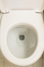 Top view of white flush toilet with opened cover and oval shaped seat, La Spezia, Italy, Europe