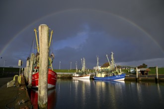 Fishing boats in the harbour of Tammensiel, rainbow, Pellworm Island, Schleswig-Holstein Wadden Sea