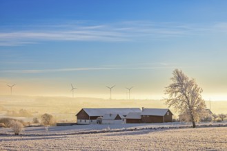 Farm on a snowy field at a valley with mist and wind turbines at the horizon a cold winter day