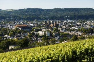 Panorama, Trier, Rhineland-Palatinate, Germany, Europe