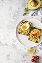 Delicious toast with veggie cream half avocado