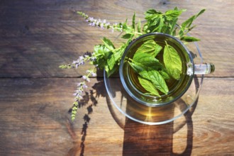 Herbal tea from fresh peppermint leaves and flowers in a glass cup on a rustic wooden table, high