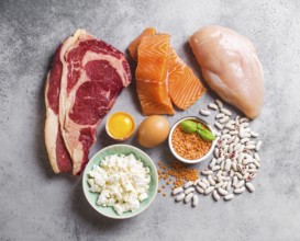 Assortment of natural sources of protein from food: meat, fish, chicken, dairy products, eggs,