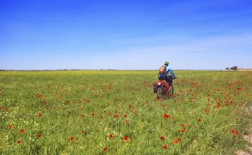Biker by Camino de Santiago in bicycle at Saint James Way of Levante of Spain