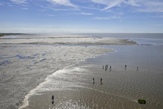 Wadden Sea seen from the lighthouse Obereversand, Dorum-Neufeld, Wurster North Sea coast, Lower