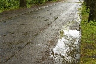 Poor asphalt road with potholes after the rain