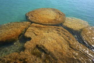 Estromatolitos Stromatolites in Bacalar Lagoon of Mexico in Quintana Roo