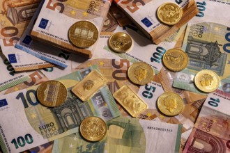 Gold and banknotes, ounce bars and coins, various euro notes in piles and bundles