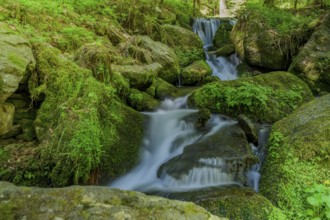 A small waterfall flows over moss-covered stones in a green forest, Nagelstein Waterfalls, Lower