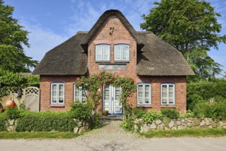 Thatched Frisian house in fog, Amrum, North Frisian Island, North Frisia, Schleswig-Holstein,
