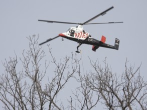 Switzerland: The T Max, a cargo helicopter used to remove felled trees in Zurich Witikon. The