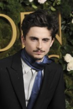 Timothee Chalamet at the 82nd Annual Golden Globe Awards held at the Beverly Hilton Hotel in