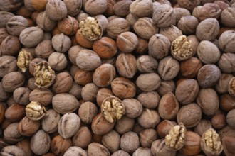 Whole walnuts background. Healthy organic food concept