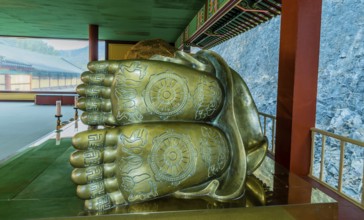 Feet of thirteen meter long reclining Buddha at Manbulsa Temple in Yeongcheon, South Korea, Asia