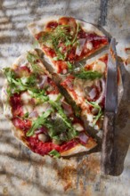 Pizza base with whole wheat flour with arugula and onion