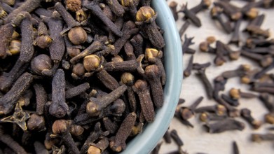 Aromatic Cloves in a Light Blue Bowl with Blurred Background, Close-Up Shot, Top Flat lay