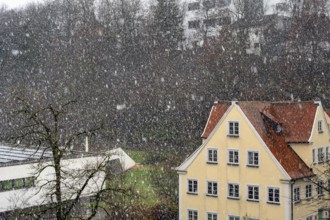 Snow showers, Kempten, Allgäu, Bavaria, Germany, Europe