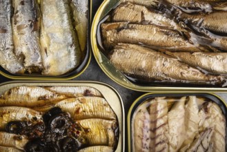 Assorted canned fish in a tin over gray concrete background: sardine, smoked sardine, mackerel.
