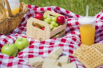 Great concept of pic-nic, pic-nic with fruits and juice on green lawn with beautiful view