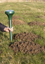 Attaching a mole deterrent