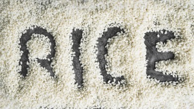 Word rice written white rice