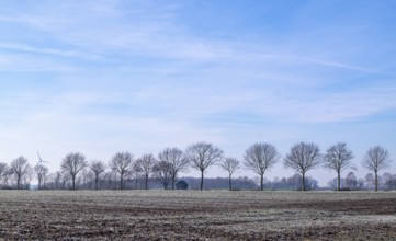 Winter landscape in the Münsterland