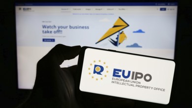 Stuttgart, Germany, 10-17-2023: Person holding cellphone with logo of European Union Intellectual