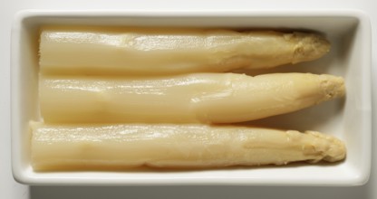 Asparagus in a white dish, three delicious pieces in an rectangel plate