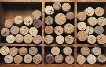 Bottle cork in a wooden box using as background or header, wine concept