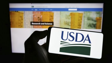 Stuttgart, Germany, 12-11-2022: Person holding cellphone with logo of United States Department of