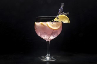 Fancy cocktail with fresh fruit. Gin and tonic drink with ice at a party, on a black background.