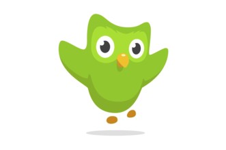Duolingo Logo 2013, Internet, Old Logo from 2013