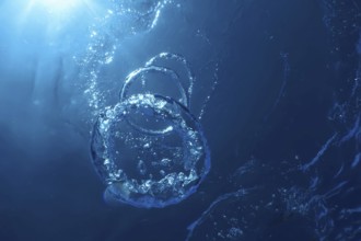 Bubble Rings Underwater Ascends Towards The Sun