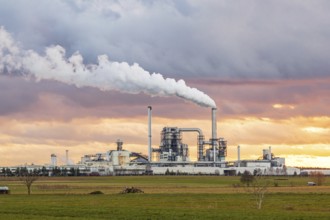 Chemical plant