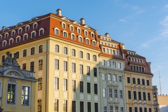 Restored old buildings in Dresden in the evening sun