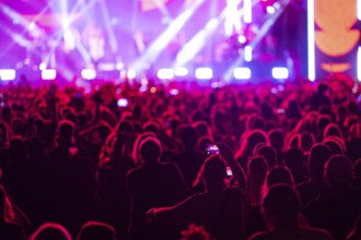 Crowd of people in front of the stage during the concert. Poland