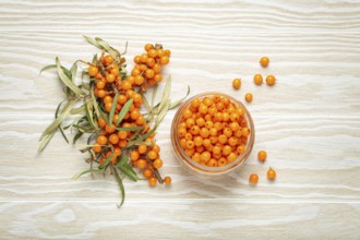 Sea buckthorn ripe berries in glass jar and branches with leaves top view on white wooden rustic